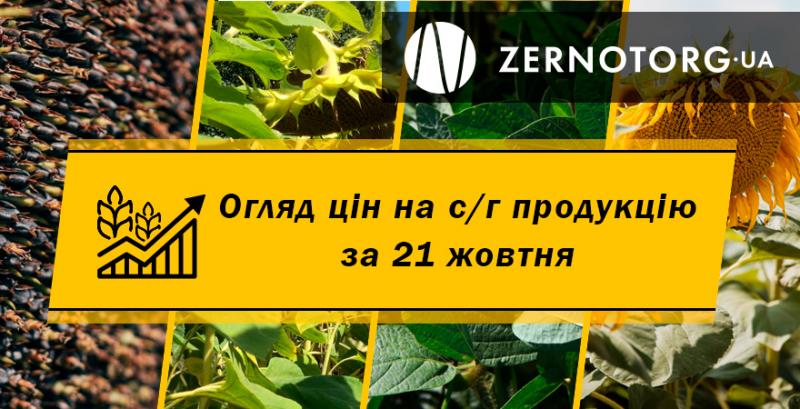 В Україні стрімко подорожчав соняшник — огляд за 21 жовтня від Zernotorg.ua