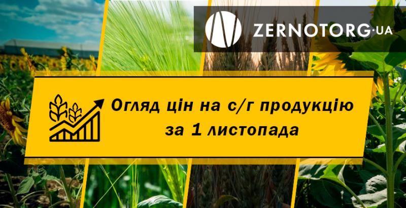 В Україні подешевшав соняшник — огляд за 1 листопада від Zernotorg.ua