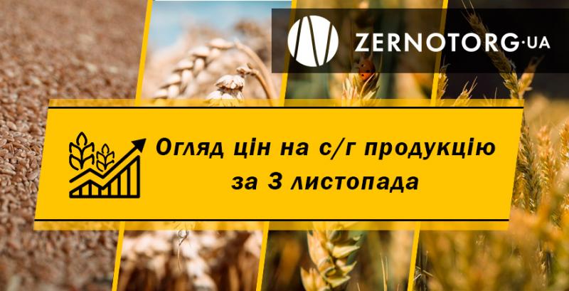 Зернові продовжують дорожчати — огляд за 3 листопада від Zernotorg.ua