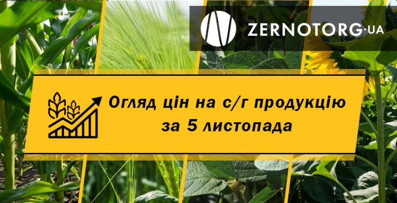 Ціни на зернові та олійні — огляд за 5 листопада від Zernotorg.ua