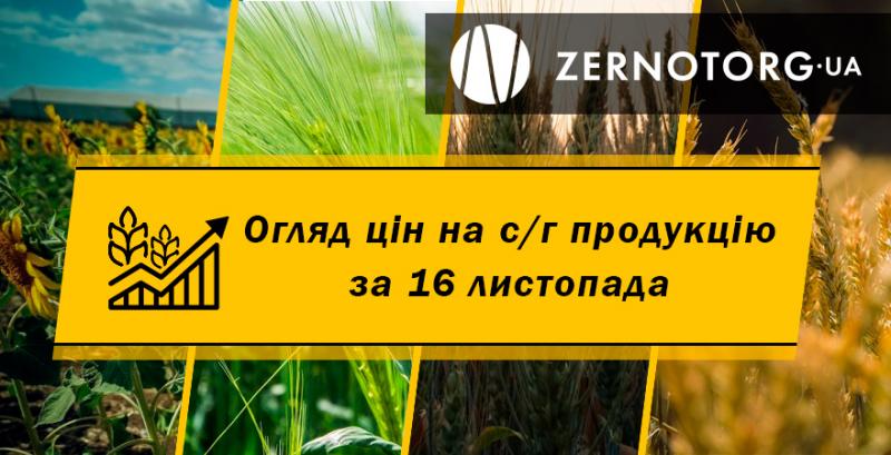 В Україні висхідна тенденція цін на зернові — огляд за 16 листопада від Zernotorg.ua