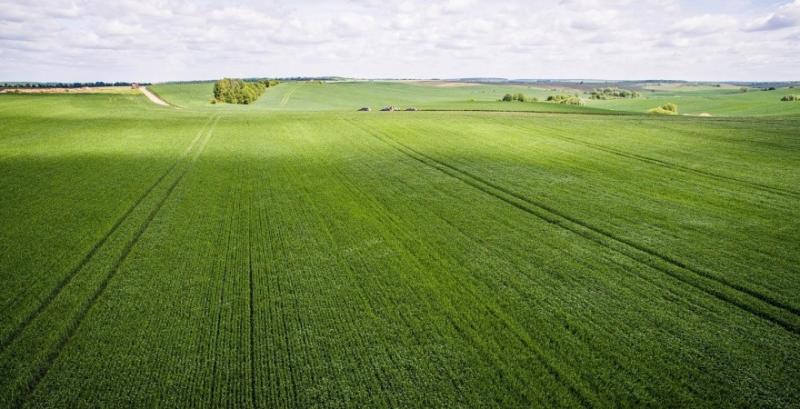 В Україні пропонують змінити алгоритм розрахунку оціночної вартості 1 га с/г земель 