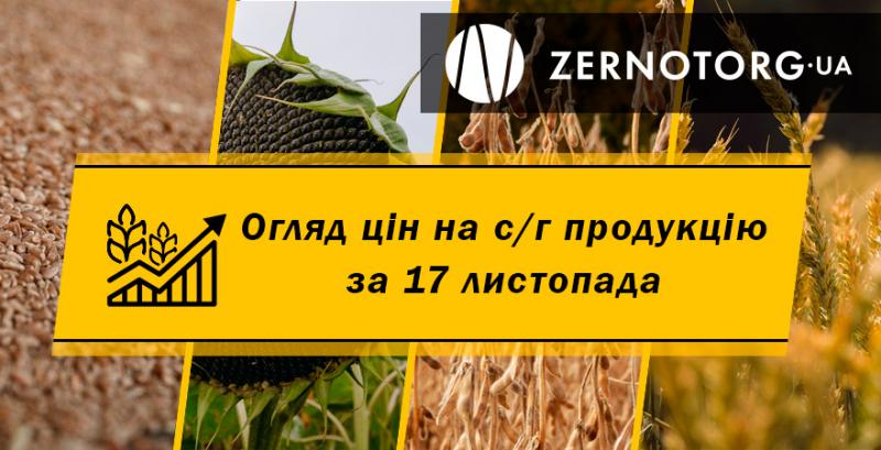 В Україні продовжують дорожчати зернові — огляд за 17 листопада від Zernotorg.ua