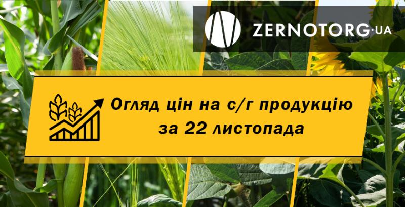 Ціна пшениці перевищила позначку 9 тисяч грн/т — огляд за 22 листопада від Zernotorg.ua