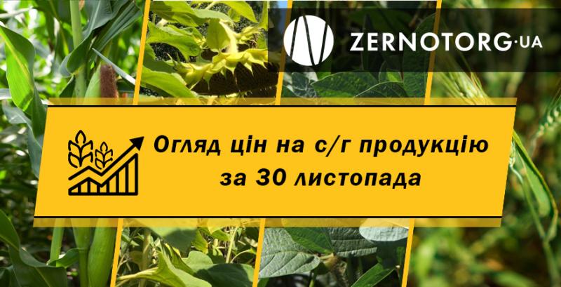 Ціни на зернові та олійні — огляд за 30 листопада від Zernotorg.ua