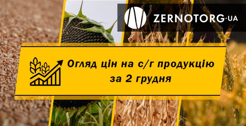 Ціна соняшнику досягла 20 000 грн/т — огляд за 2 грудня від Zernotorg.ua