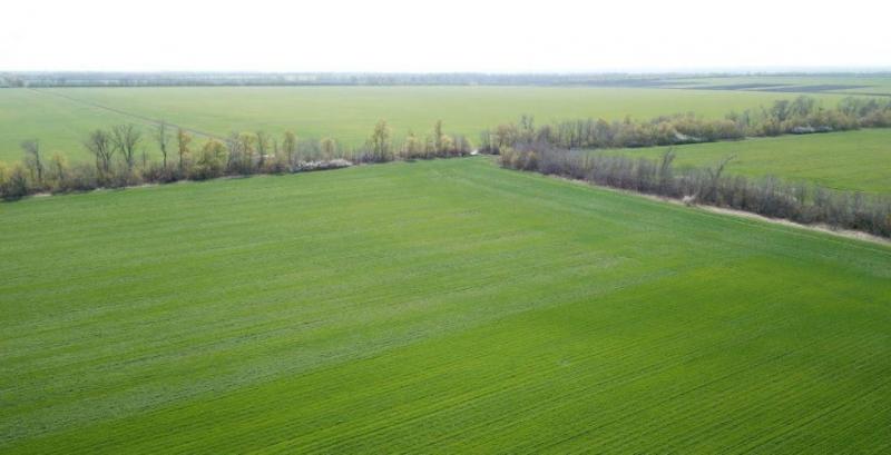 На електронних аукціонах ціна землі зростає — Мінагрополітики