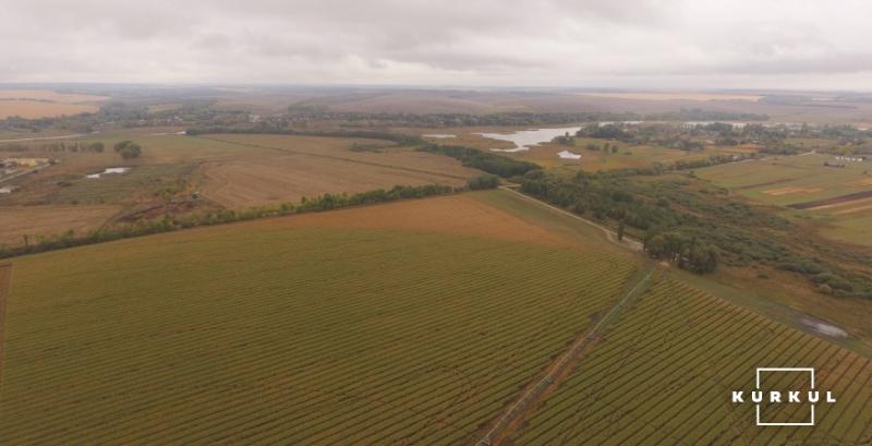 Оприлюднено статистику щодо купівлі-продажу земельних паїв