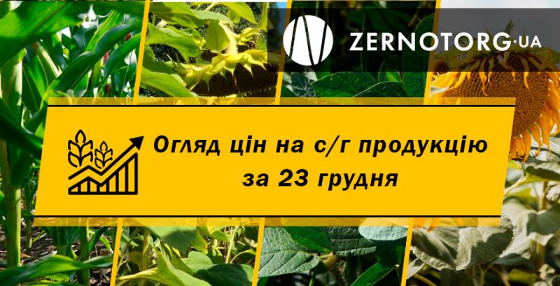 Ціни на с/г продукцію — огляд за 23 грудня від Zernotorg.ua