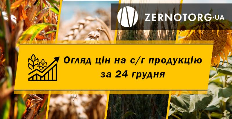 В портах подорожчала кукурудза  — огляд за 24 грудня від Zernotorg.ua