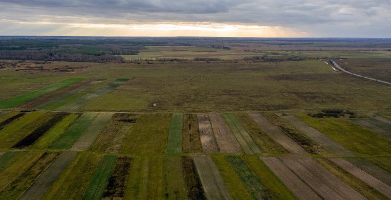 Аграріям розповіли, як сплачуватиметься новий податок на землю 