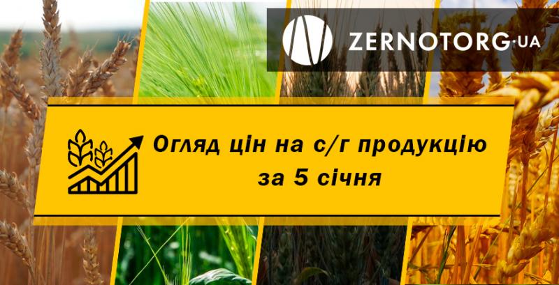 Ціни на с/г продукцію — огляд за 5 січня від Zernotorg.ua