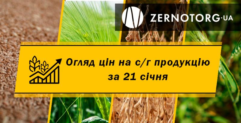 Вартість ячменю зростає — огляд за 21 січня від Zernotorg.ua