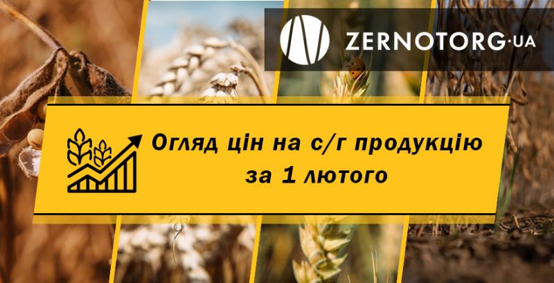 Ціни на зернові та олійні — огляд за 1 лютого від Zernotorg.ua