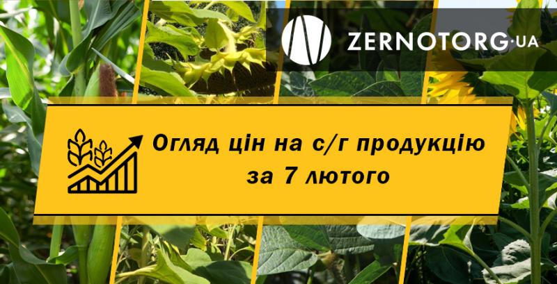 Ціни на с/г продукцію — огляд за 7 лютого від Zernotorg.ua