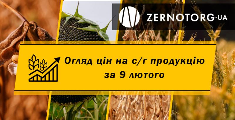 Соняшник та ріпак подешевшав — огляд цін за 9 лютого від Zernotorg.ua