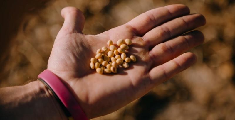 Мінагрополітики здійснюватиме контроль щодо безпеки якості продукції