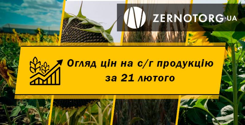 Ціни на с/г продукцію — огляд за 21 лютого від Zernotorg.ua