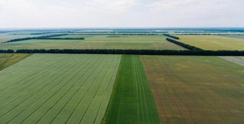 Стало відомо, чи змінились регіони-лідери за ціною земельних паїв