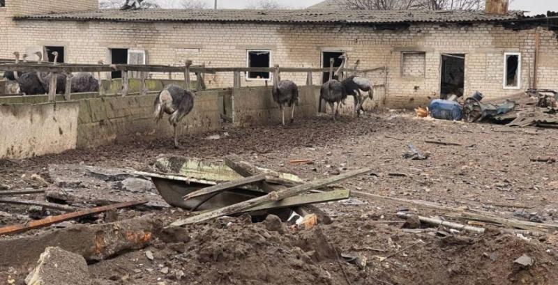 Підраховано кількість постраждалих від війни об'єктів агросектору