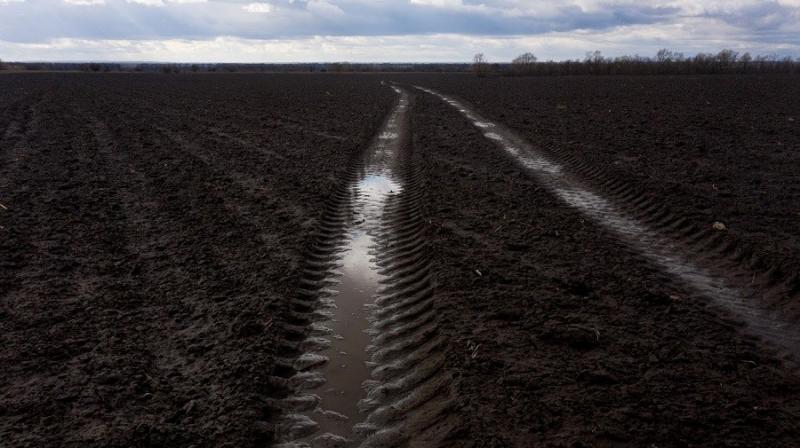 Без прискорення розмінування на Херсонщині посівна може не настати