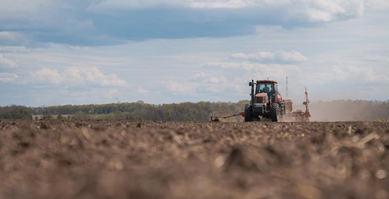 В Україні стартувала посівна ячменю