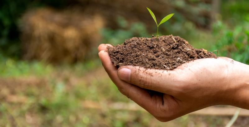 Понад 1 000 фермерів приєдналось до вуглецевої програми AgreenaCarbon