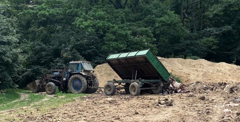 На Полтавщині підприємство влаштувало звалище з решток великої рогатої худоби