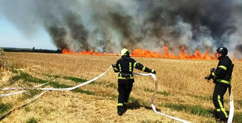 Через ворожі обстріли на Донеччині згоріло 740 га пшениці