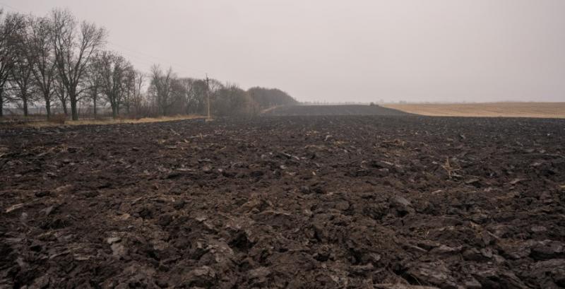 Цьогоріч погодні умови для сівби озимих під урожай 2025 склалися вкрай несприятливі — фахівці