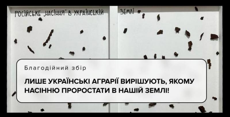 Відомий художник продовжує об'єднувати аграрних меценатів: посіяно вже понад 500 тисяч арт насінин